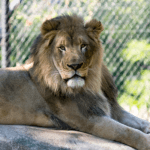 Welcome to Henry Vilas Zoo | Madison, Wisconsin