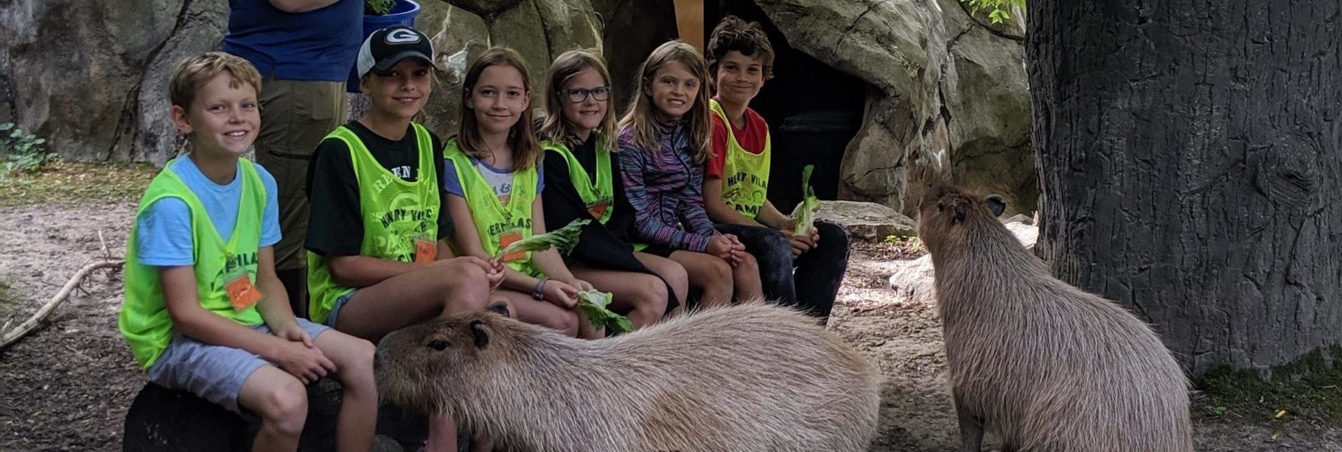 Zoo Camp Educational Programs Henry Vilas Zoo DEV